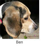 Ben