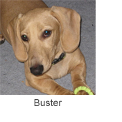 Buster