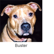 Buster