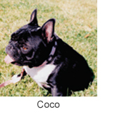 Coco