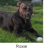 Roxie